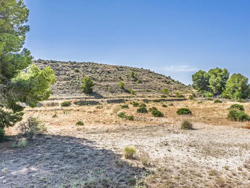 Участок en Monóvar, Costa Blanca — фото 15 из 15