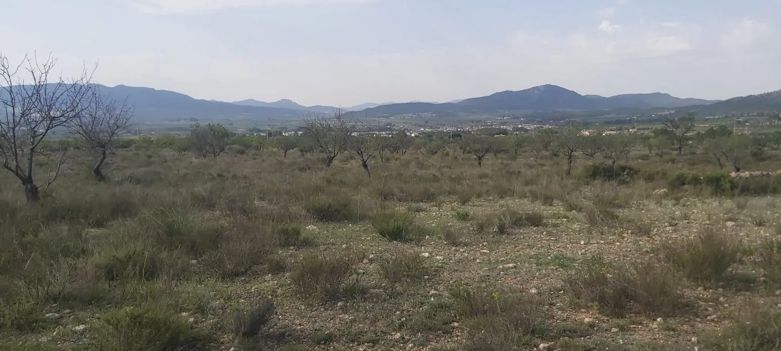 Terreno en Desconocido, Costa Blanca — foto 1 de 11
