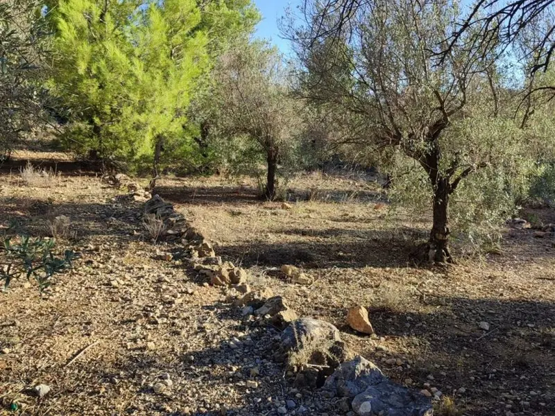 Terreno en Desconocido, Costa Blanca — foto 2 de 4