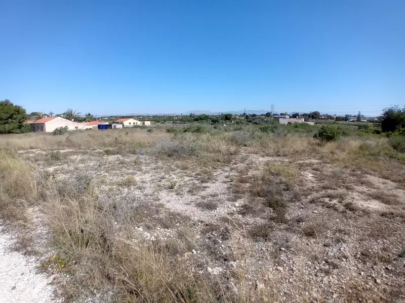 Landhuis in Elche, Costa Blanca — foto 2 van 10