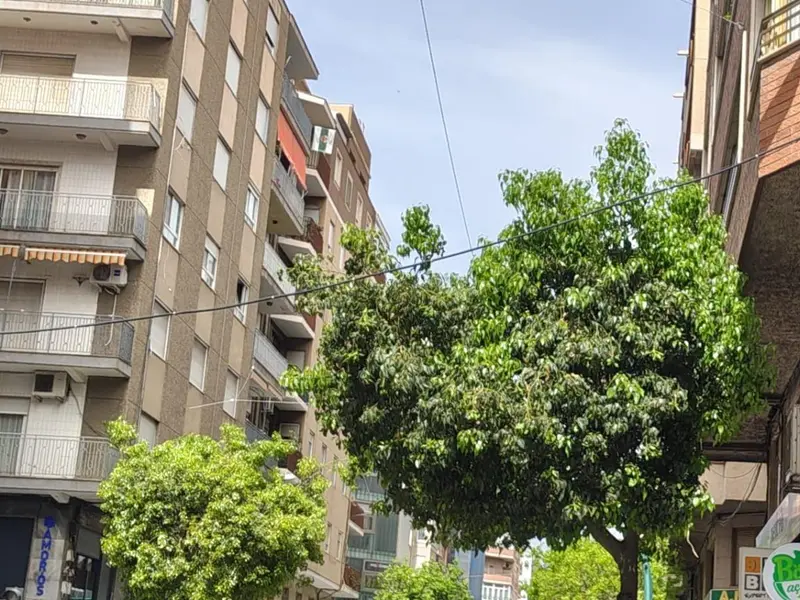 Local comercial de 1 dormitorios en Elche, Costa Blanca — foto 4 de 5