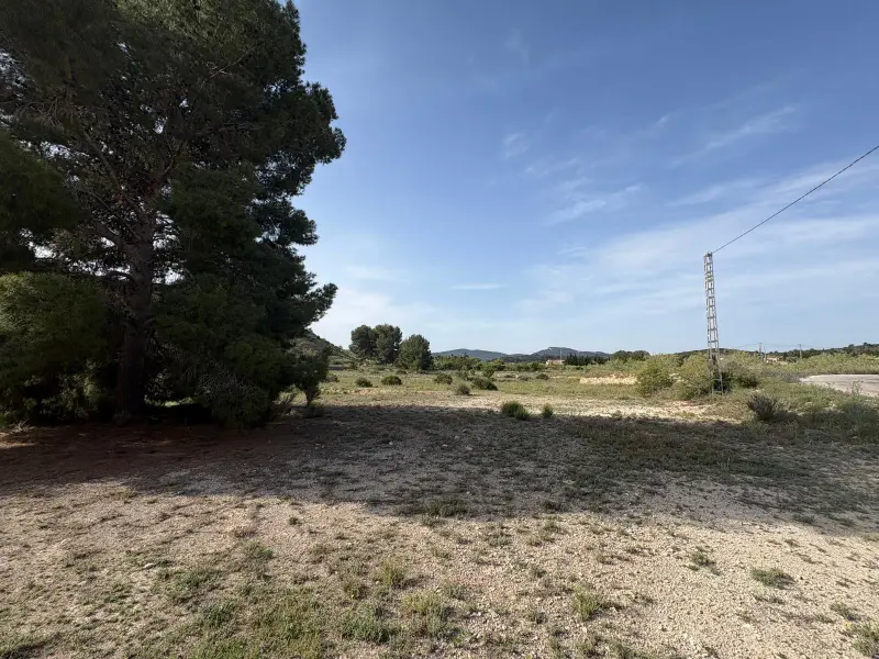 Terreno en Monóvar, Costa Blanca
