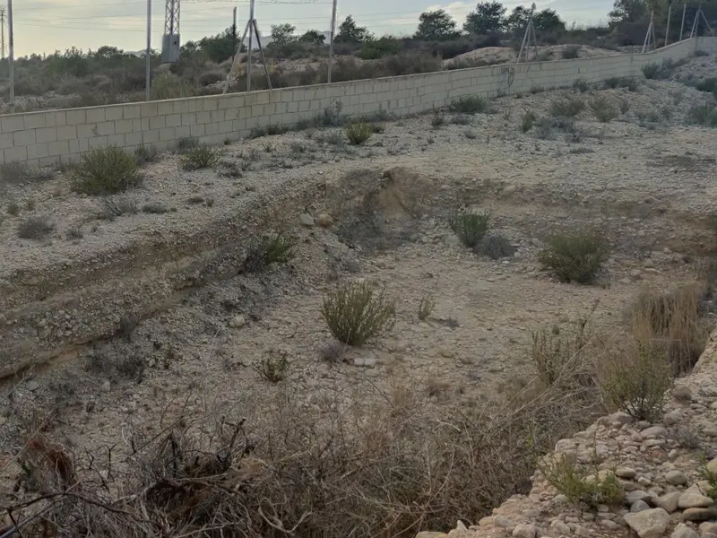 Land in Elche, Costa Blanca — photo 7 of 14
