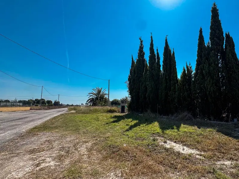 Casa de campo en Crevillent, Costa Blanca — foto 12 de 30