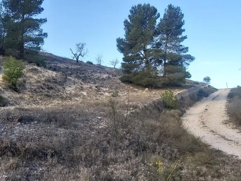 Landhaus in Monóvar, Costa Blanca — Foto 12 von 29