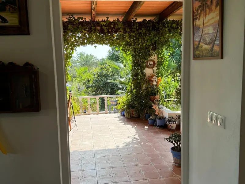 Landhuis met 5 slaapkamers in Elche, Costa Blanca — foto 4 van 8