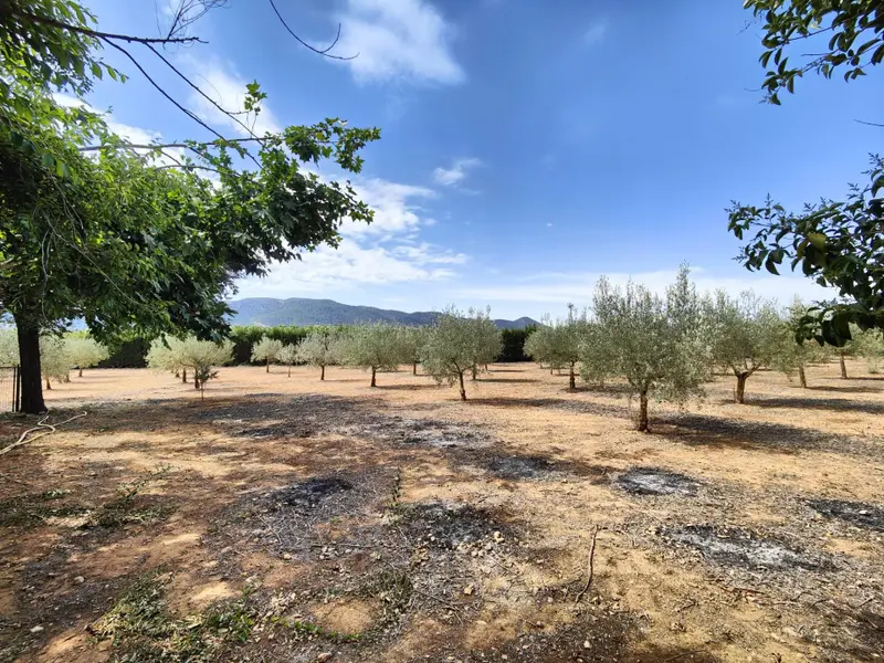 Villa met 5 slaapkamers in Desconocido, Costa Blanca — foto 24 van 30