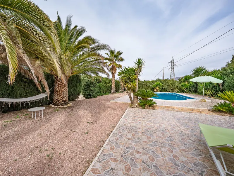 Villa mit 4 Schlafzimmern in Novelda, Costa Blanca — Foto 26 von 30
