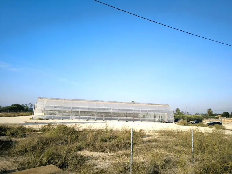 Landhuis in Elche, Costa Blanca — foto 29 van 30