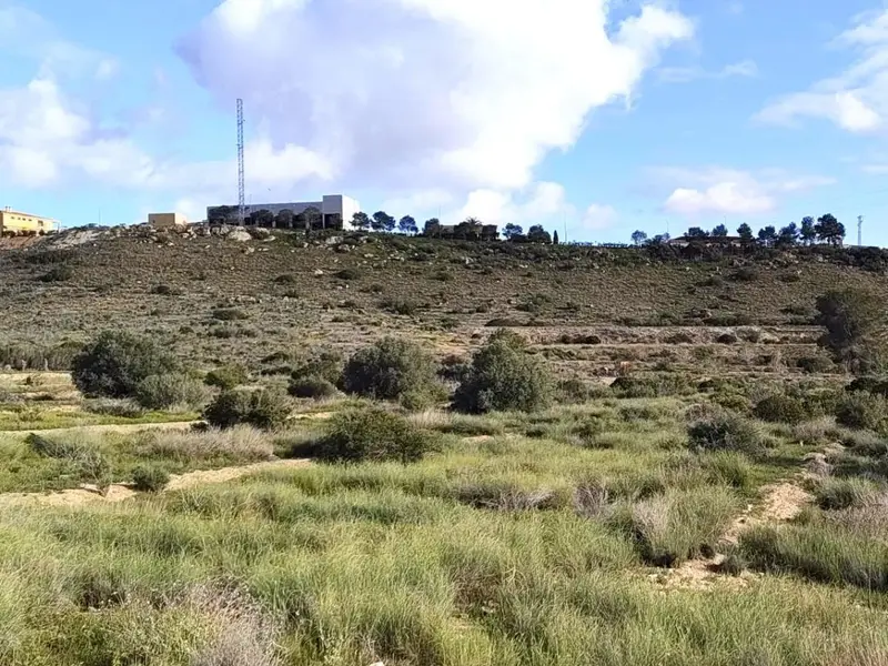 Casa de campo en Elche, Costa Blanca — foto 8 de 8