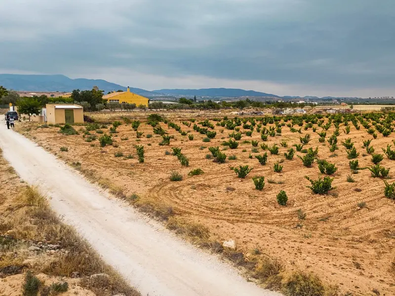 Landhaus in Pinoso, Costa Blanca — Foto 3 von 10