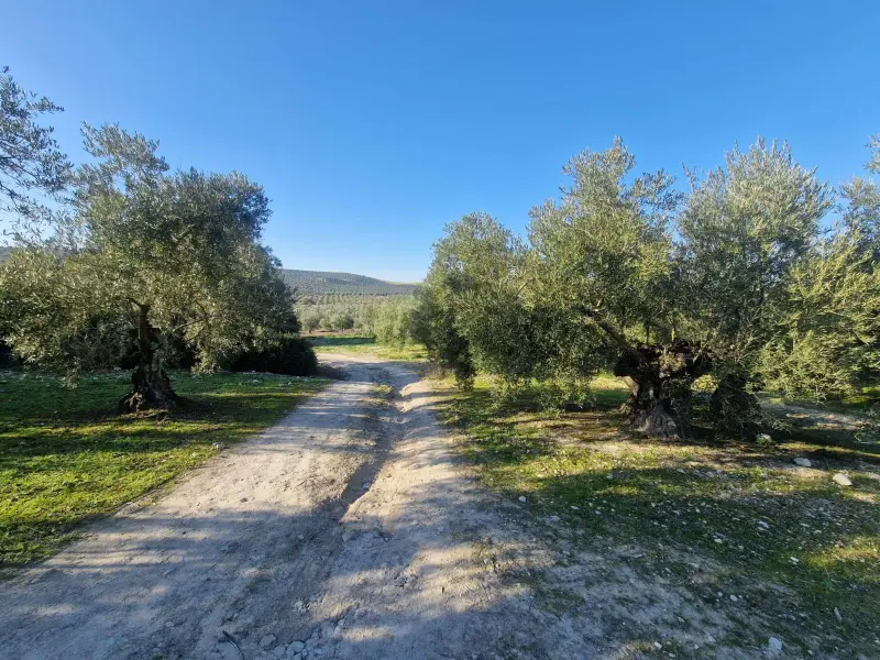 Загородный дом en Desconocido, Costa Blanca — фото 7 из 15