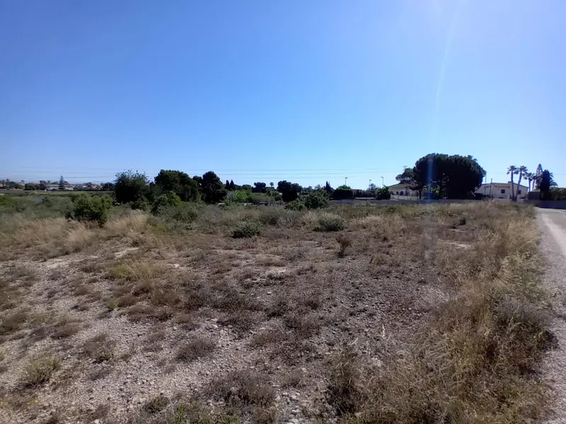 Landhuis in Elche, Costa Blanca — foto 3 van 10