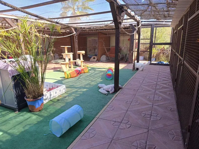 Загородный дом de 5 dormitorios en Elche, Costa Blanca — фото 25 из 30