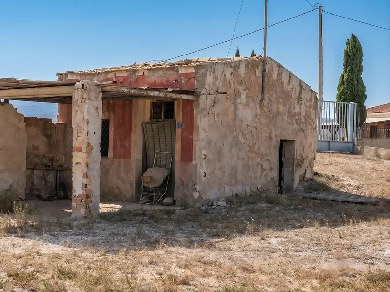Local comercial en Elche, Costa Blanca — foto 14 de 20