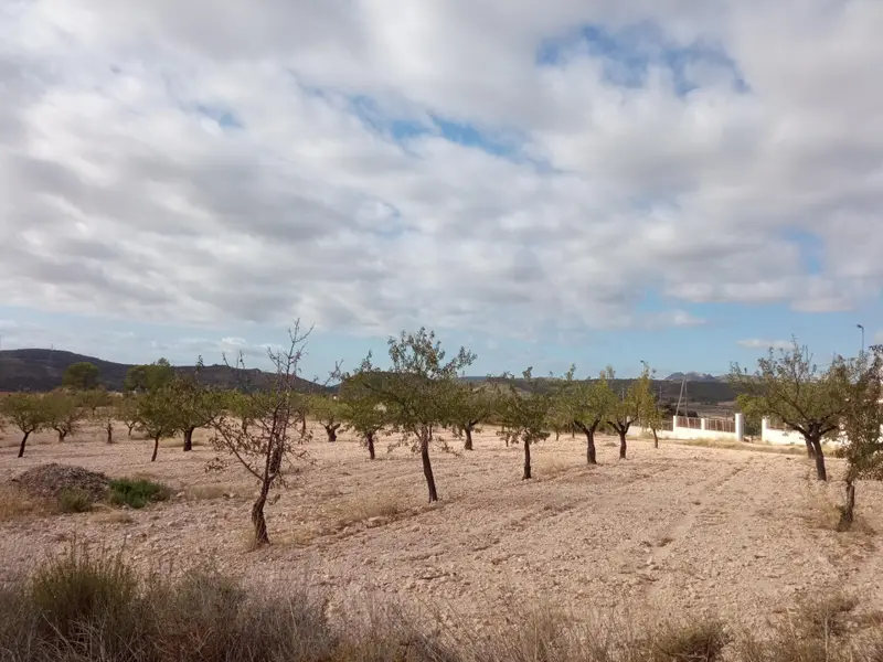 Terreno en Abanilla, Costa Blanca