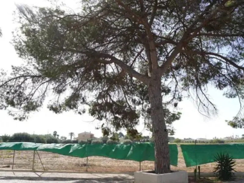 Villa met 5 slaapkamers in Desconocido, Costa Blanca — foto 15 van 30