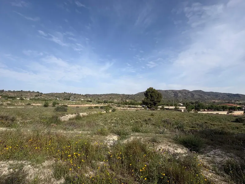 Terreno en Monóvar, Costa Blanca — foto 3 de 4