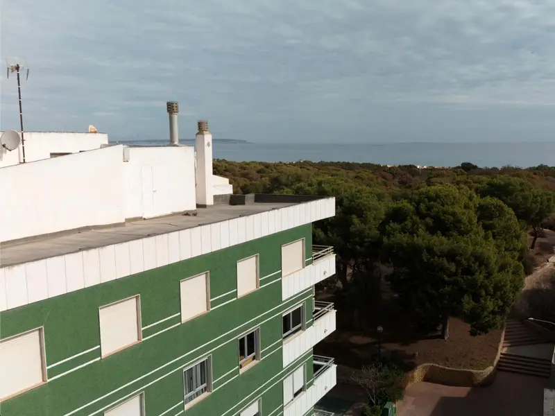 Apartamento de 1 dormitorios en Guardamar del Segura, Costa Blanca — foto 14 de 30