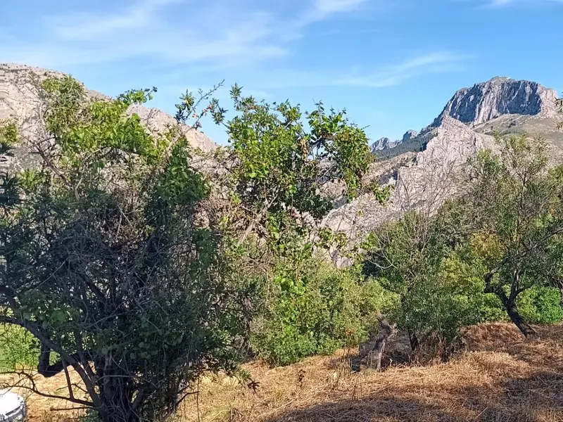 Casa de campo en Desconocido, Costa Blanca — foto 7 de 15