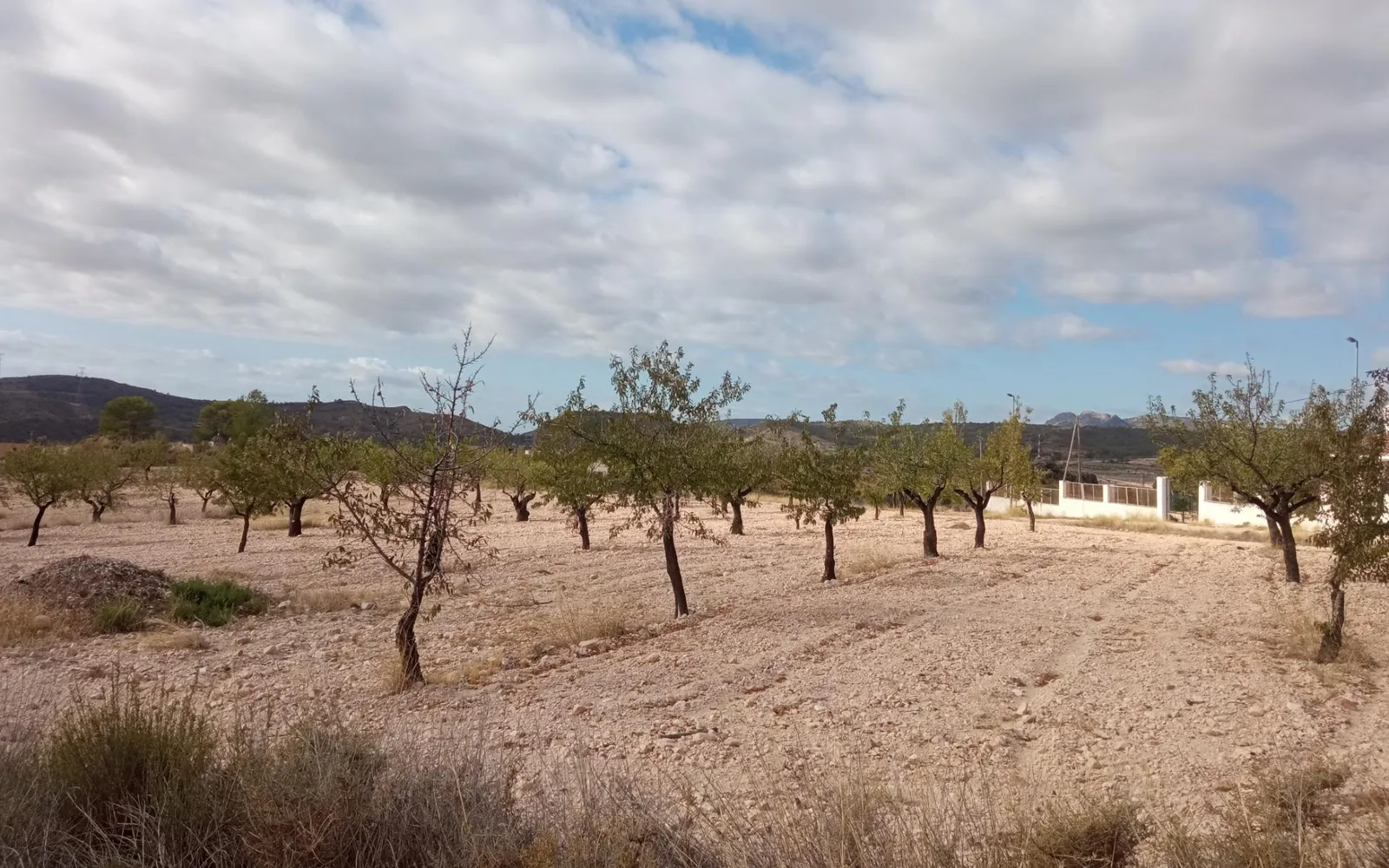 Land in Abanilla, Costa Blanca — photo 1 of 4