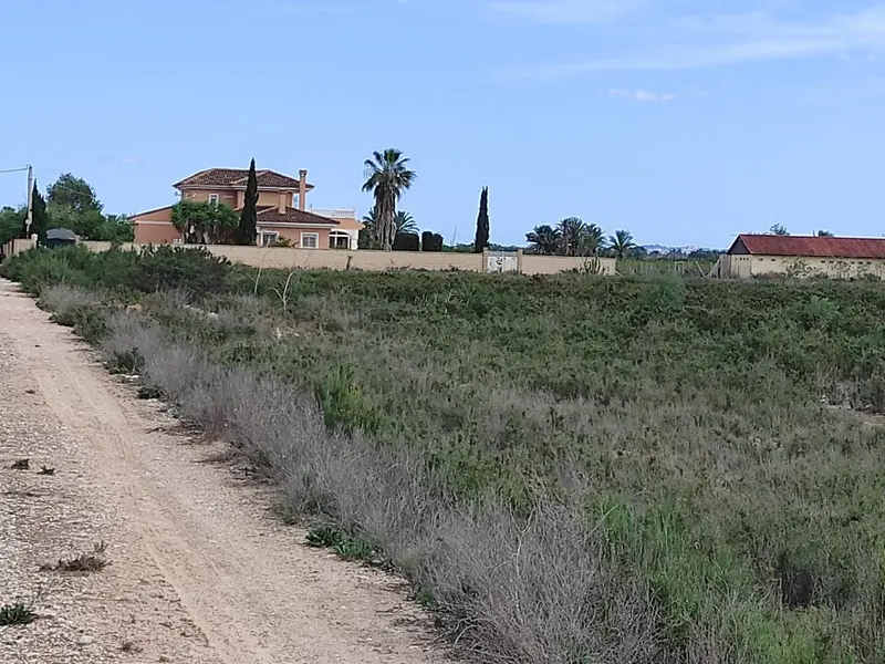Terreno en Crevillent, Costa Blanca — foto 5 de 5