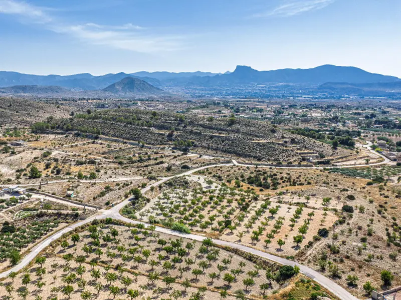 Участок en Monóvar, Costa Blanca — фото 5 из 15