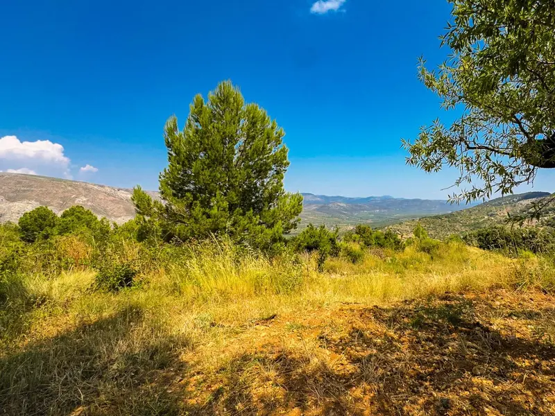 أرض en Desconocido, Costa Blanca — صورة 19 من 30
