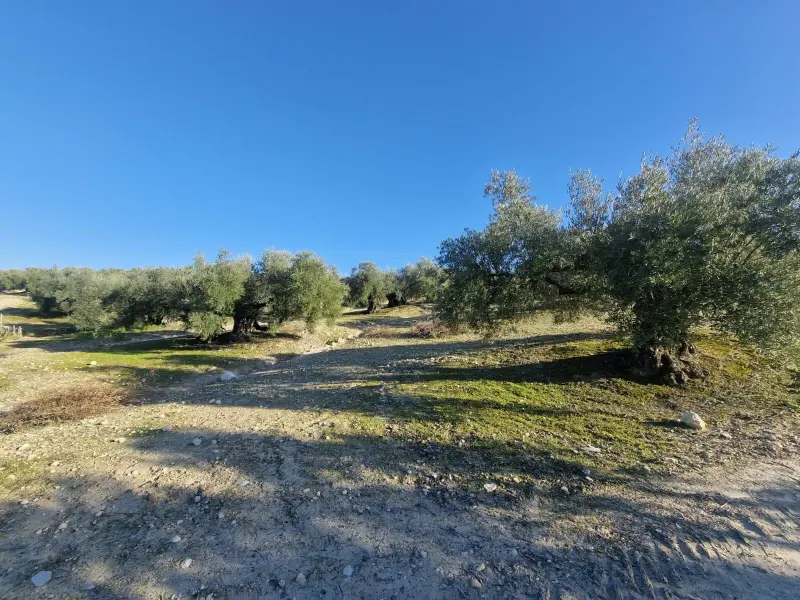 Загородный дом en Desconocido, Costa Blanca — фото 9 из 15