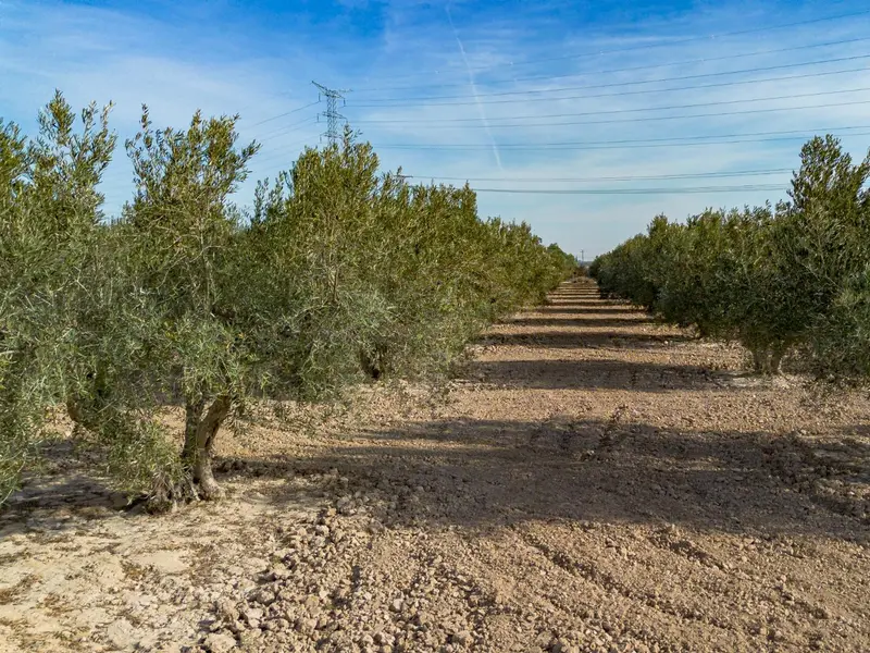 Casa de campo en Crevillent, Costa Blanca