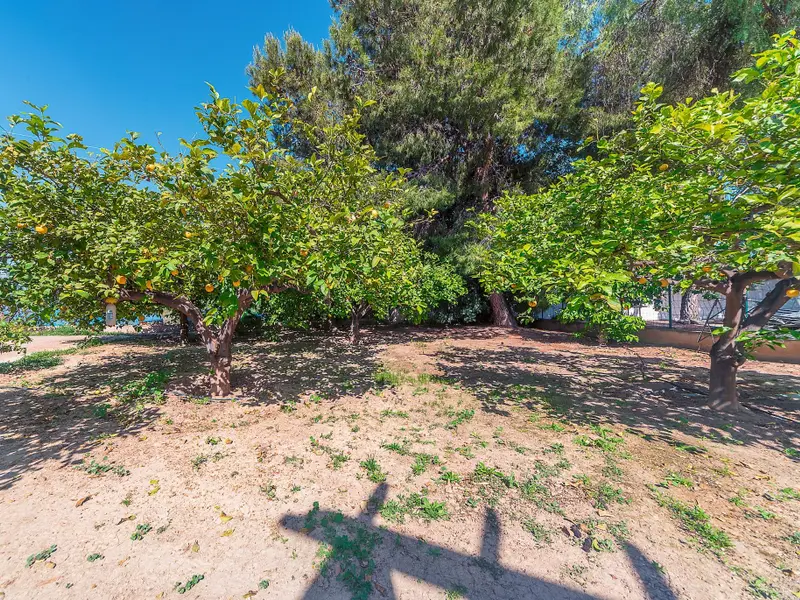 Villa mit 4 Schlafzimmern in Alicante, Costa Blanca — Foto 18 von 30