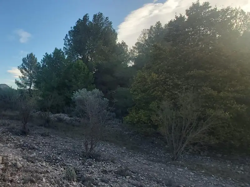 Landhaus in Monóvar, Costa Blanca — Foto 5 von 29