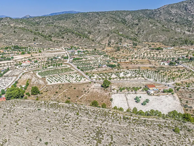 Участок en Monóvar, Costa Blanca — фото 10 из 15