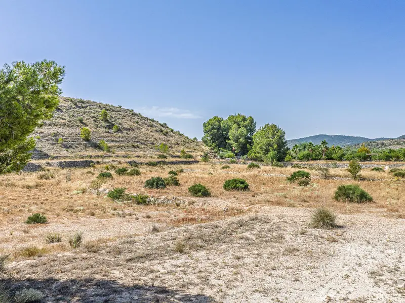 Участок en Monóvar, Costa Blanca — фото 13 из 15
