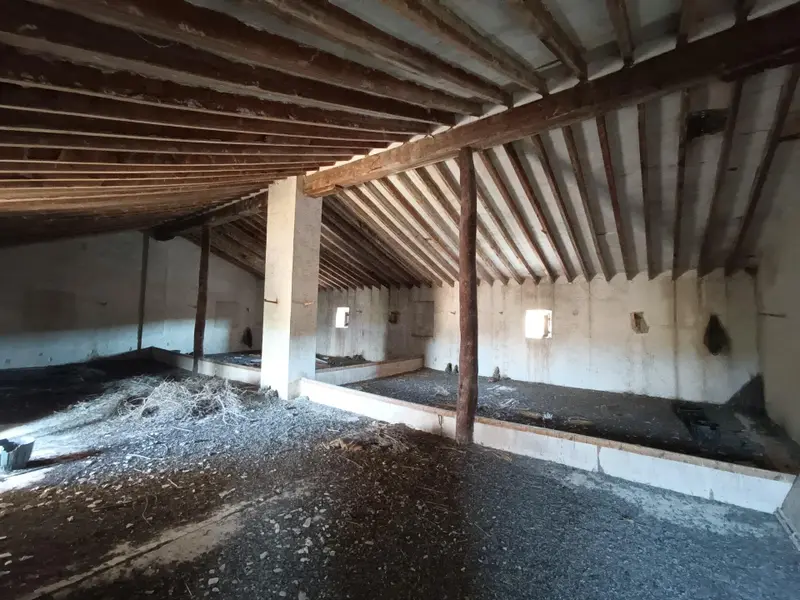 Villa de 7 dormitorios en Pinoso, Costa Blanca — foto 19 de 19