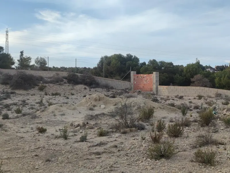 Land in Elche, Costa Blanca — photo 10 of 14