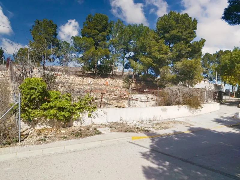 أرض en Pinoso, Costa Blanca — صورة 4 من 7