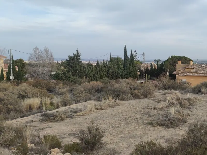 Land in Elche, Costa Blanca — photo 5 of 14