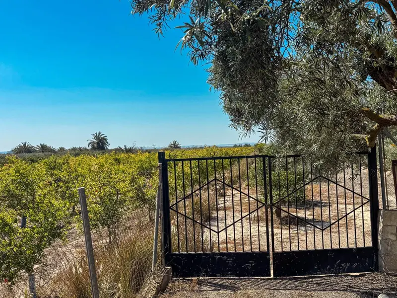 Casa de campo en Crevillent, Costa Blanca — foto 19 de 30