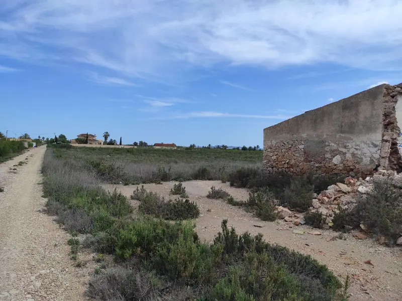 Terreno en Crevillent, Costa Blanca — foto 1 de 5