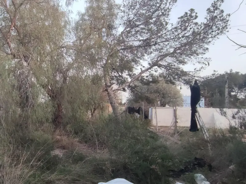 Заміський будинок у Elche, Коста-Бланка — фото 3 з 5