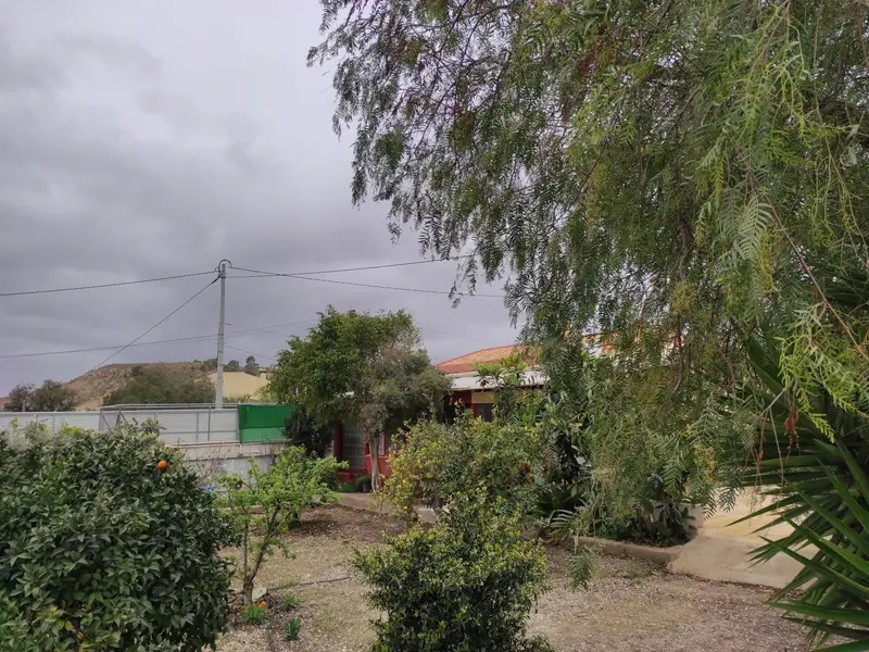 Villa de 4 dormitorios en Abanilla, Costa Blanca — foto 4 de 30