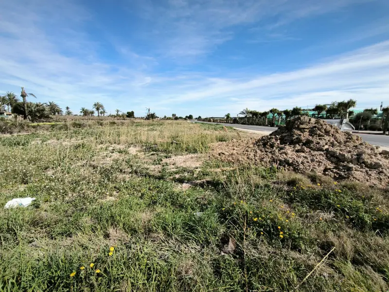 Заміський будинок у Elche, Коста-Бланка — фото 15 з 19