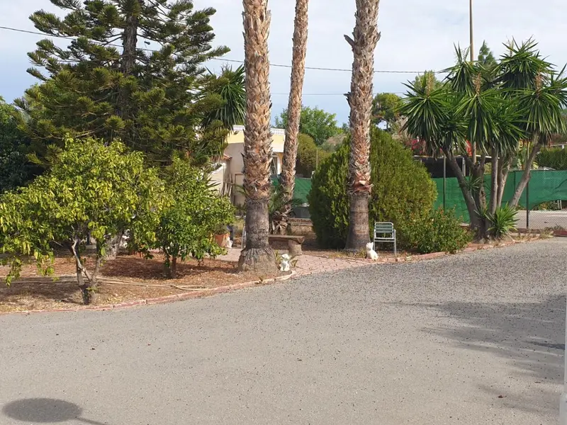 Villa de 3 dormitorios en Elche, Costa Blanca — foto 12 de 27