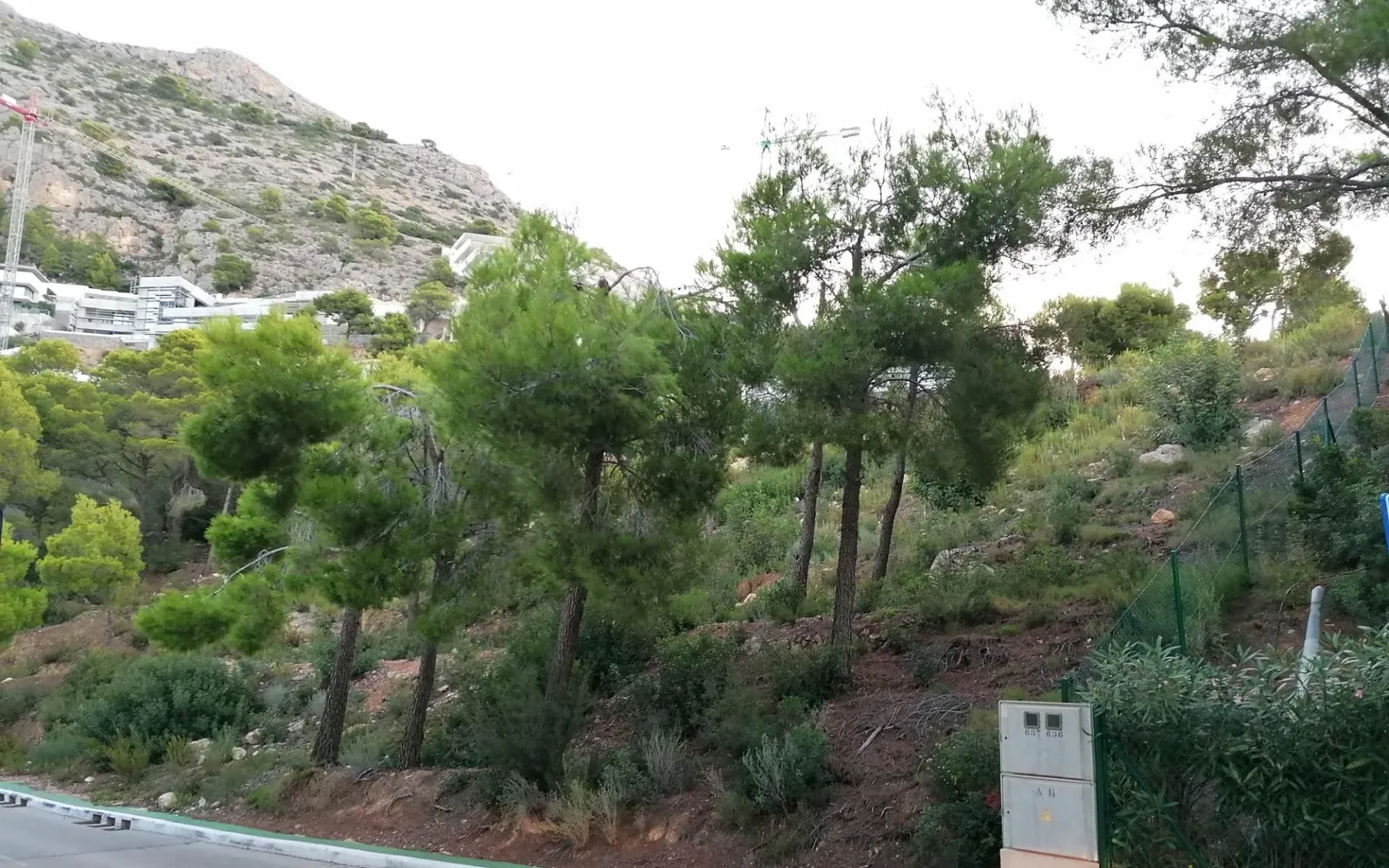 Land in Altea, Costa Blanca — photo 1 of 4