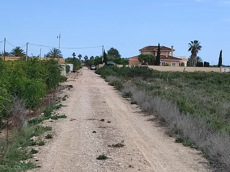 Terreno en Crevillent, Costa Blanca — foto 3 de 5