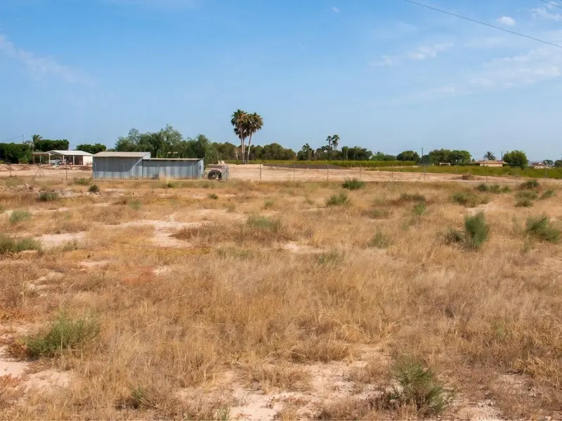 Local comercial en Elche, Costa Blanca — foto 18 de 20