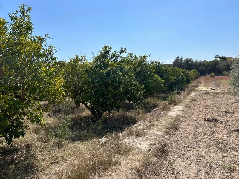 Grundstück in Jávea, Costa Blanca — Foto 1 von 9