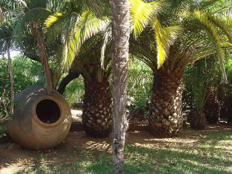 Villa de 5 dormitorios en Jávea, Costa Blanca — foto 19 de 30