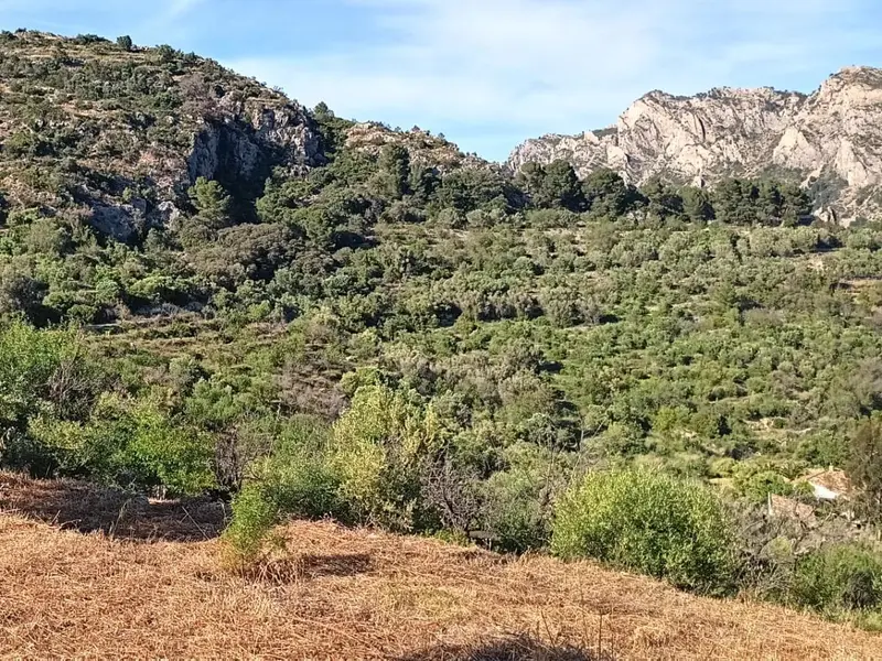 Casa de campo en Desconocido, Costa Blanca — foto 12 de 15